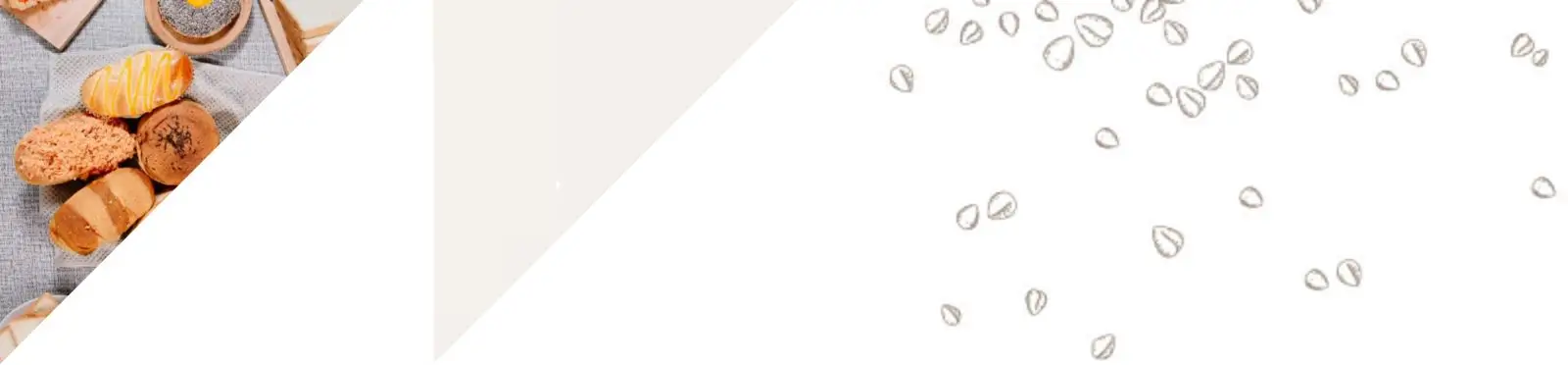 transfamily-banner-image-about
